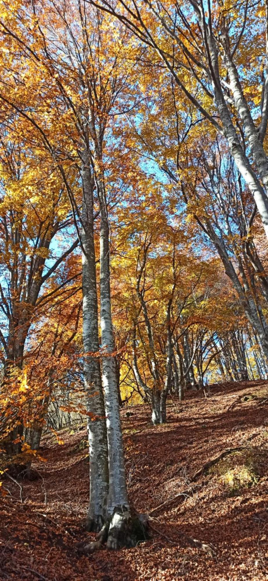 Ortighera Monolocale Relax Sulla Ciclabile Lenna Dış mekan fotoğraf