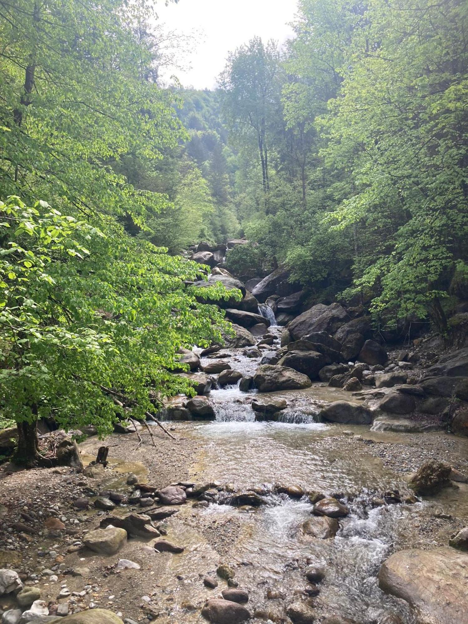 Ortighera Monolocale Relax Sulla Ciclabile Lenna Dış mekan fotoğraf