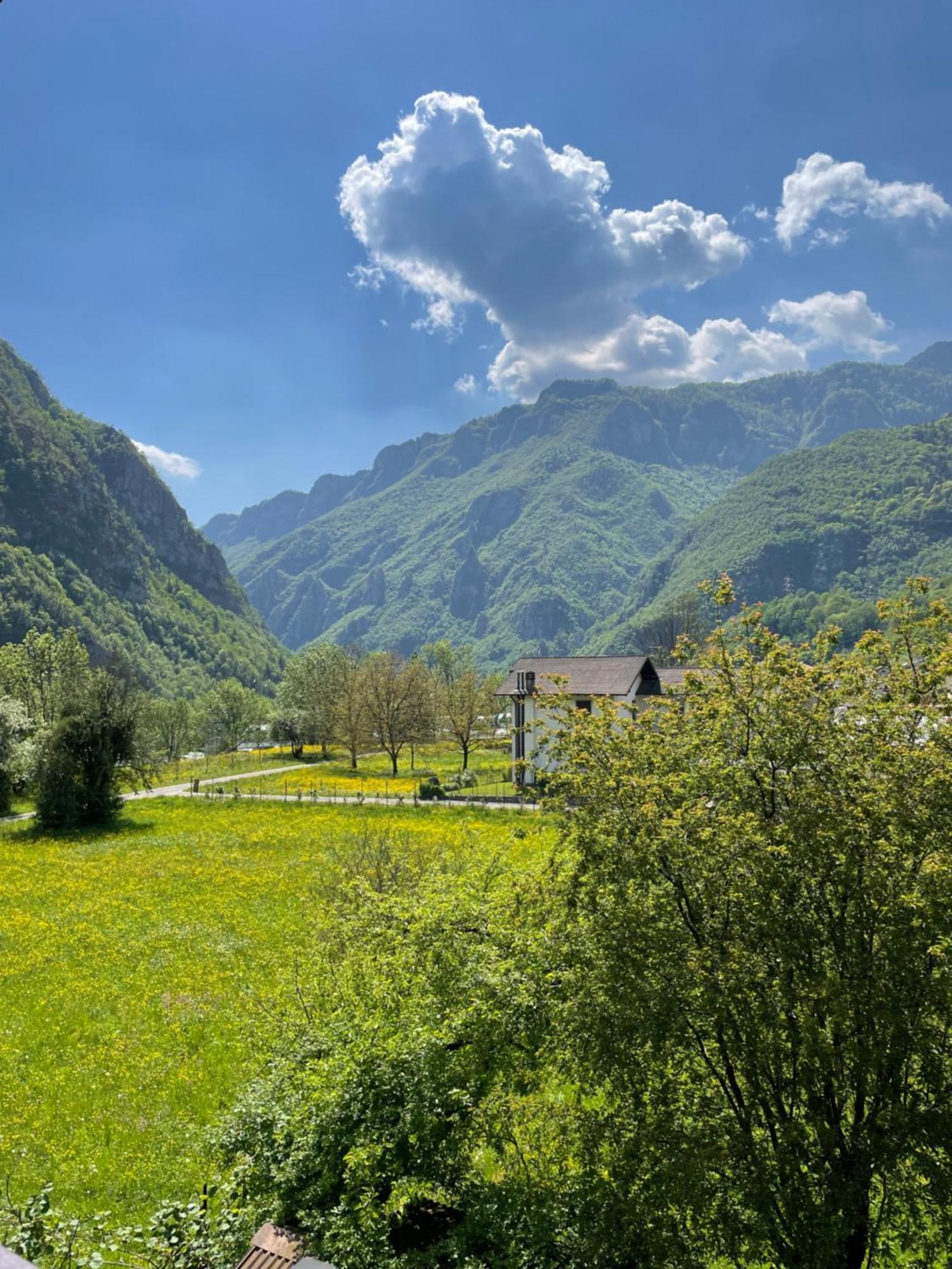 Ortighera Monolocale Relax Sulla Ciclabile Lenna Dış mekan fotoğraf